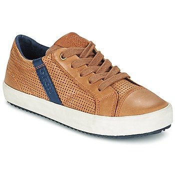 Geox Zapatillas J ALONISSO B. A para niño